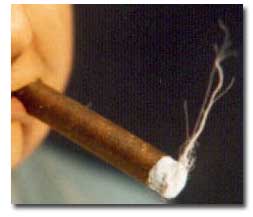 cigar stub